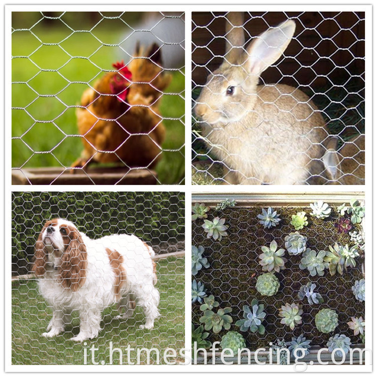 Yardgard da 2 pollici a rete esagonale reti di pollo zincato galvanizzato Fence a maglie di pollo